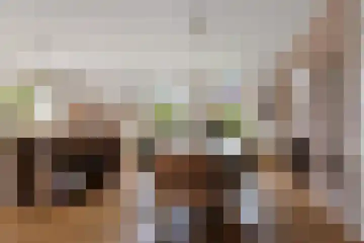 Hamwijck 45 Boskoop thumbnail 7