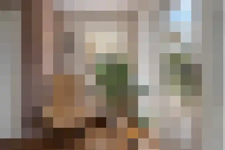 Hamwijck 45 Boskoop thumbnail 9