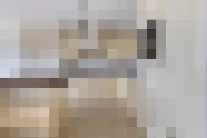 Han de Lignieplein 29 Herkingen thumbnail 10