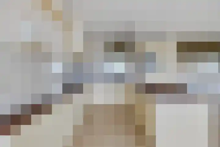 Han de Lignieplein 29 Herkingen thumbnail 11