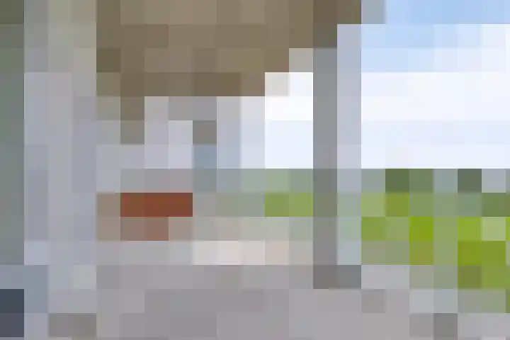 Han de Lignieplein 29 Herkingen thumbnail 15