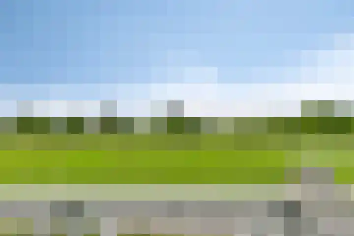 Han de Lignieplein 29 Herkingen thumbnail 16