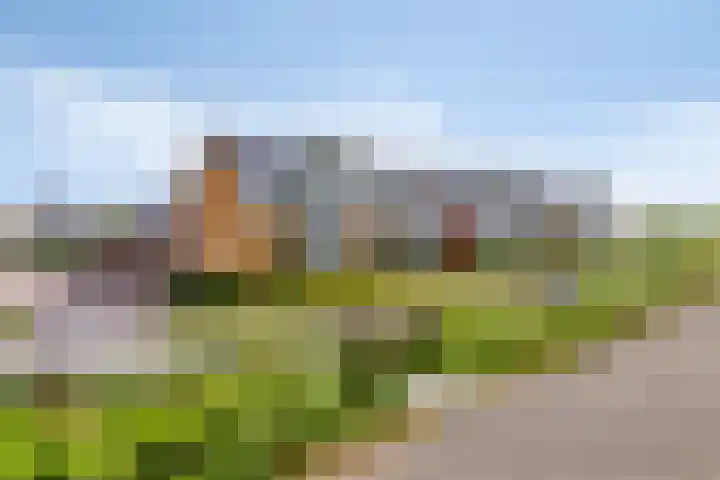 Han de Lignieplein 29 Herkingen thumbnail 30