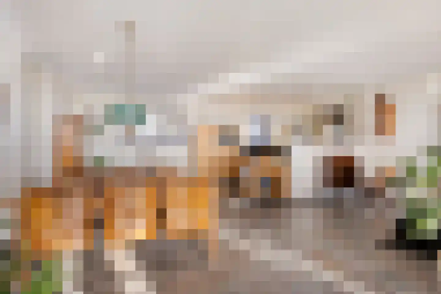 Han de Lignieplein 31 Herkingen thumbnail 18