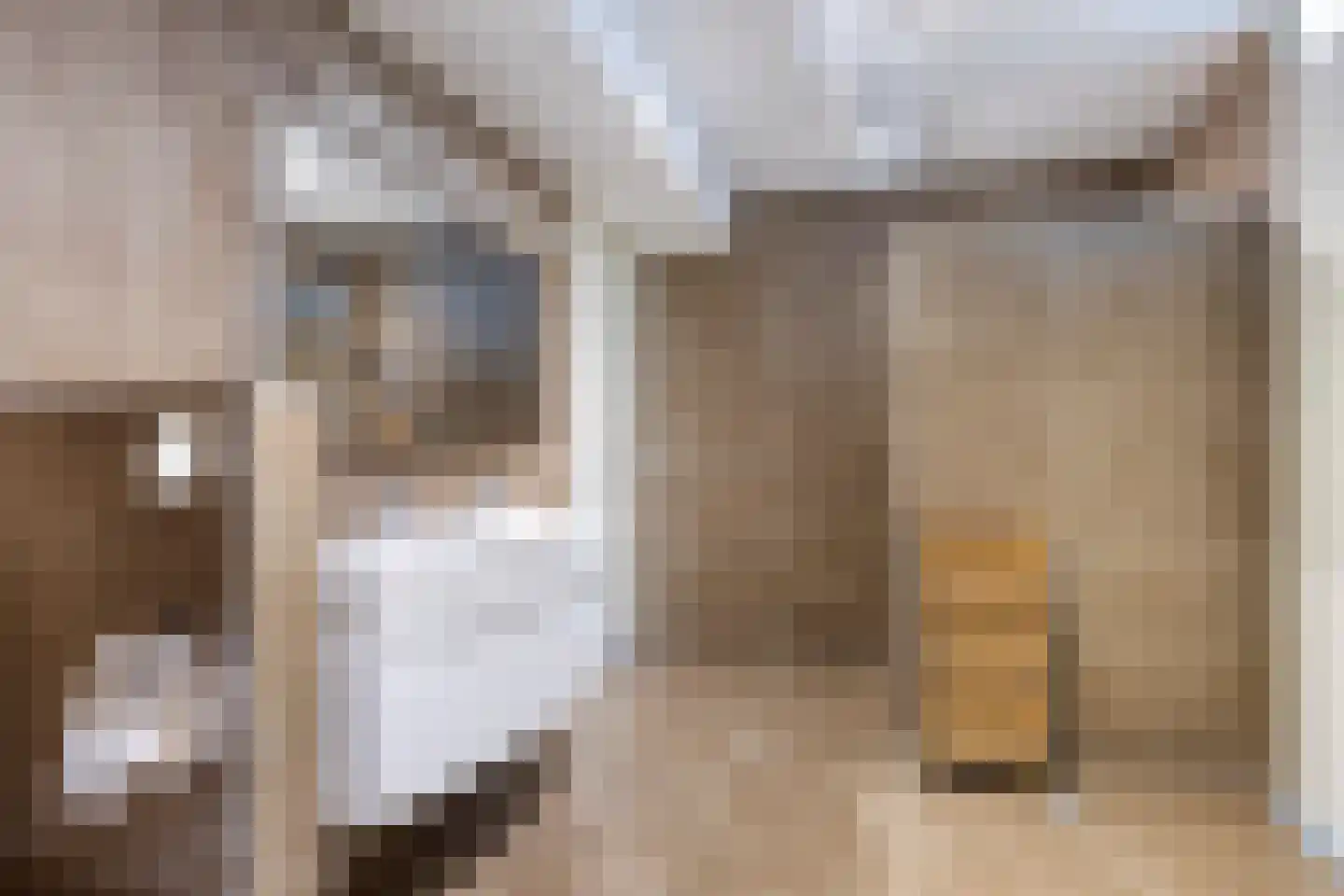 Han de Lignieplein 31 Herkingen thumbnail 25