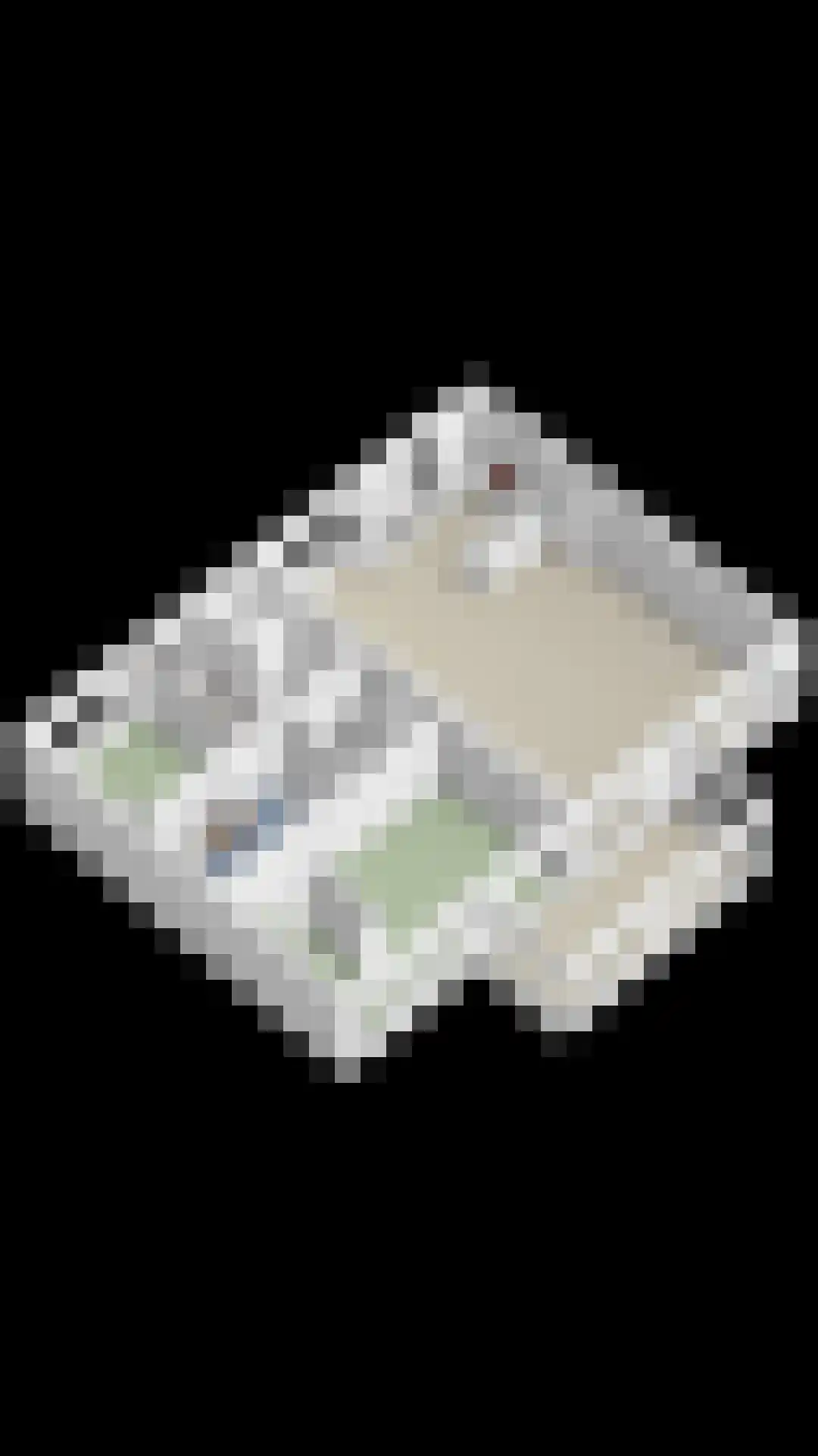 Han de Lignieplein 31 Herkingen thumbnail 37