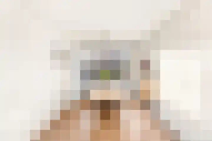 Han Diekmannlaan 19 Vlissingen thumbnail 12
