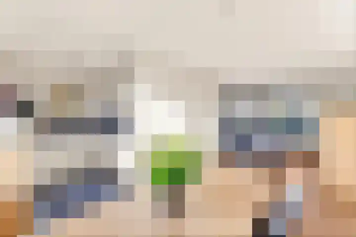 Han Diekmannlaan 19 Vlissingen thumbnail 13