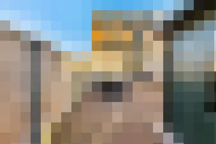 Han Diekmannlaan 19 Vlissingen thumbnail 18