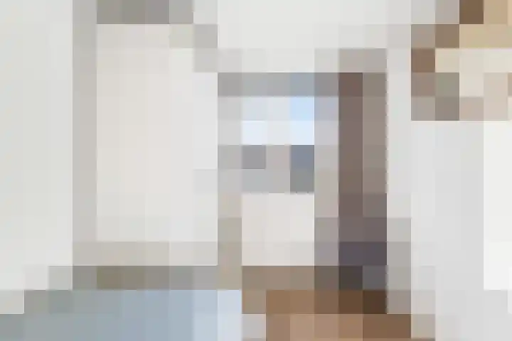 Han Diekmannlaan 19 Vlissingen thumbnail 22