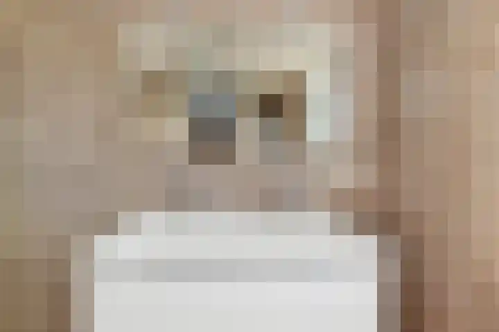 Han Diekmannlaan 19 Vlissingen thumbnail 26