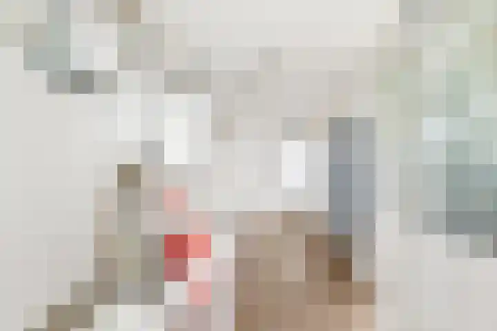 Han Diekmannlaan 19 Vlissingen thumbnail 27
