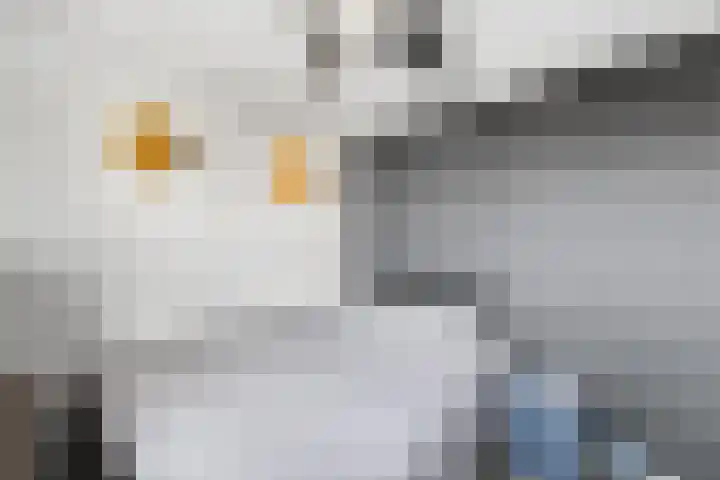 Han Diekmannlaan 19 Vlissingen thumbnail 31