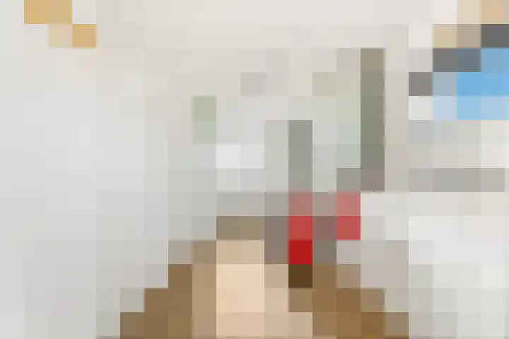 Han Diekmannlaan 19 Vlissingen thumbnail 32