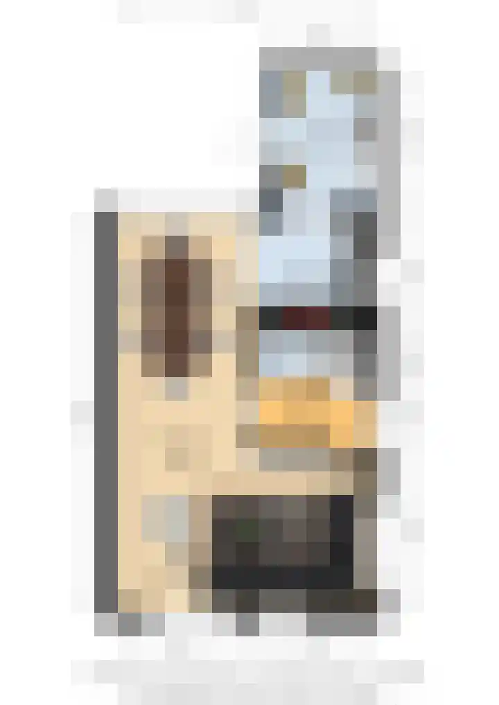 Han Diekmannlaan 19 Vlissingen thumbnail 36