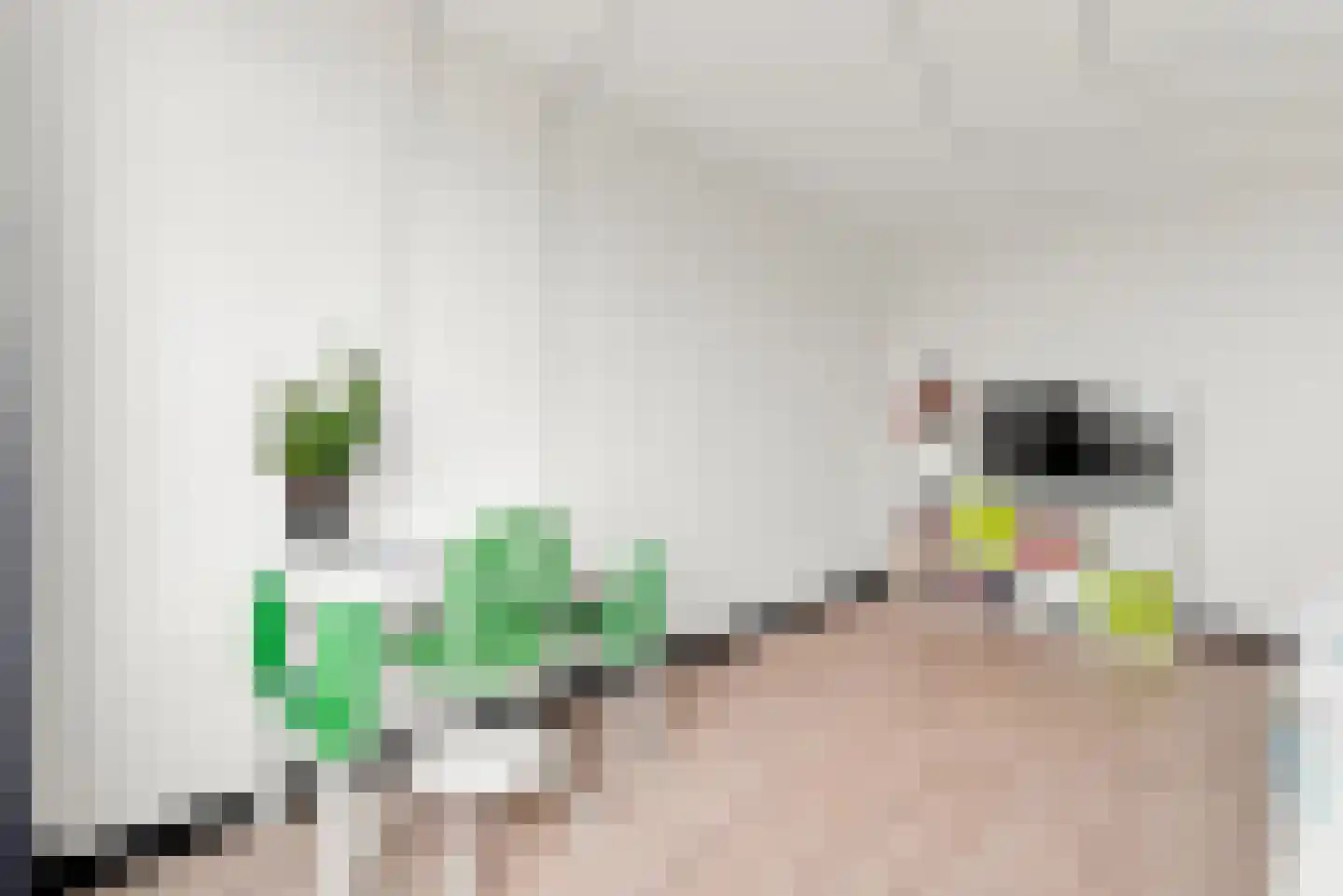 Han Diekmannlaan 43 Vlissingen thumbnail 18