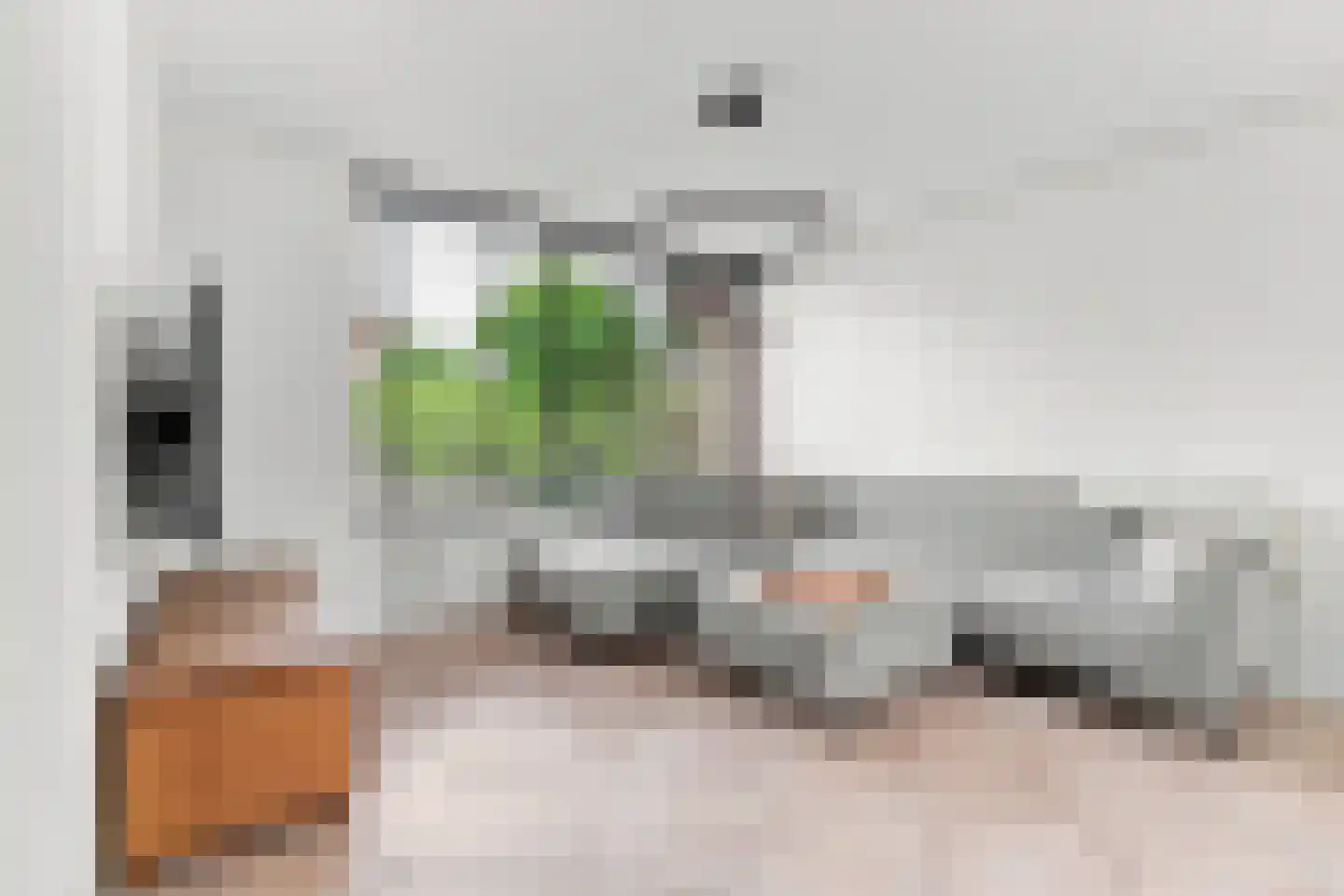 Han Diekmannlaan 43 Vlissingen foto 2