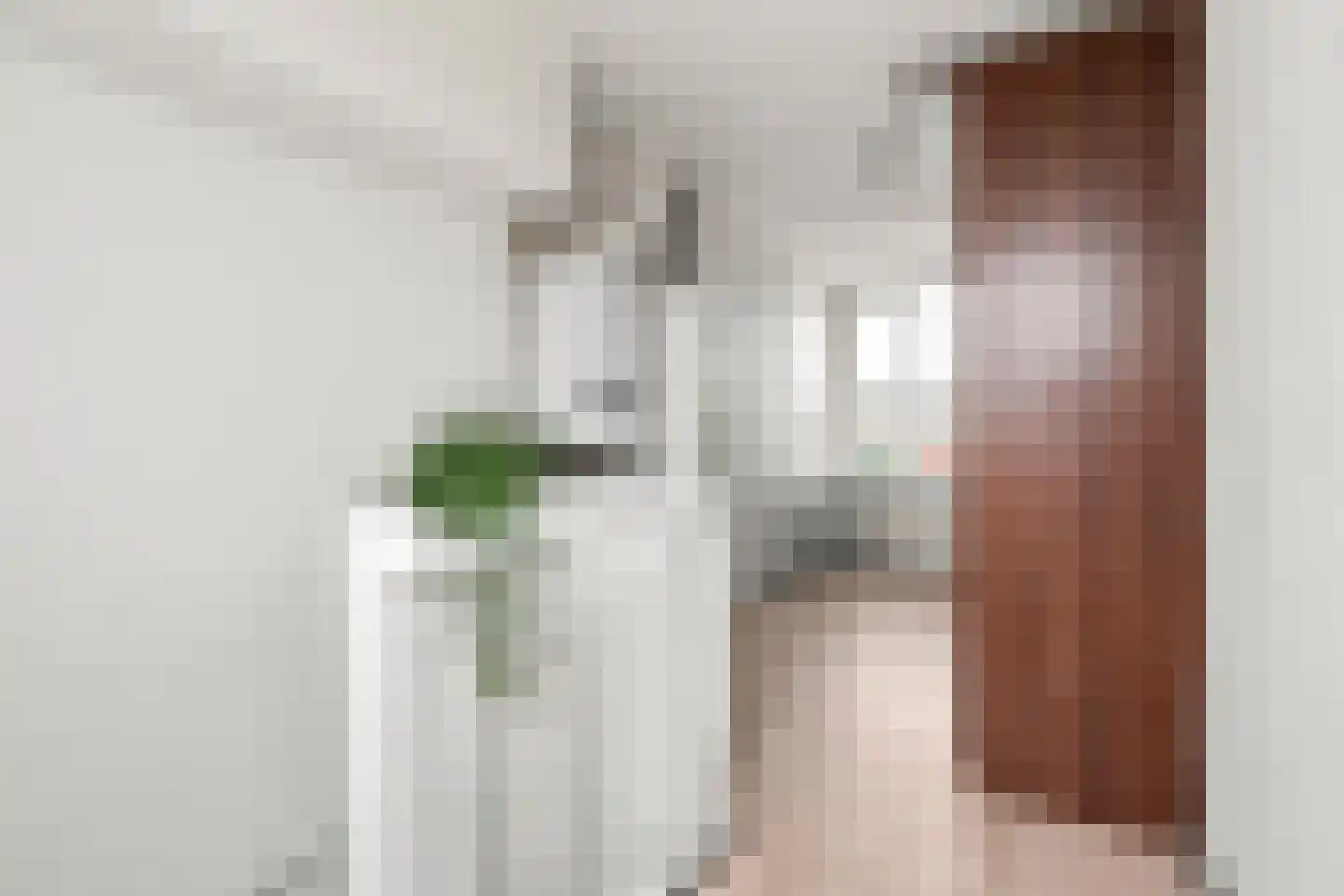 Han Diekmannlaan 43 Vlissingen thumbnail 23