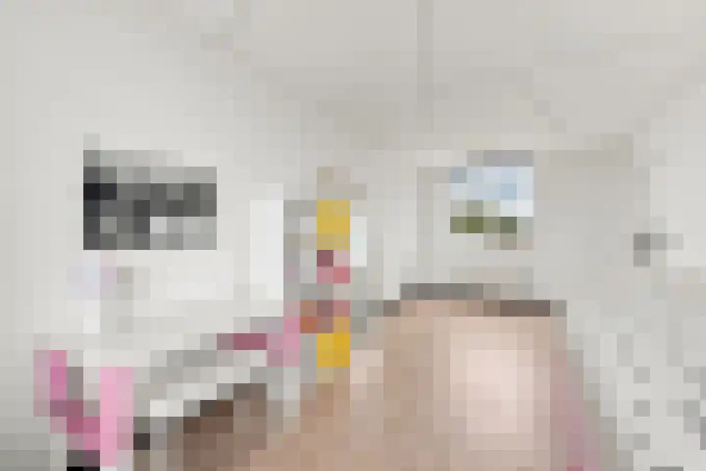 Han Diekmannlaan 43 Vlissingen thumbnail 25