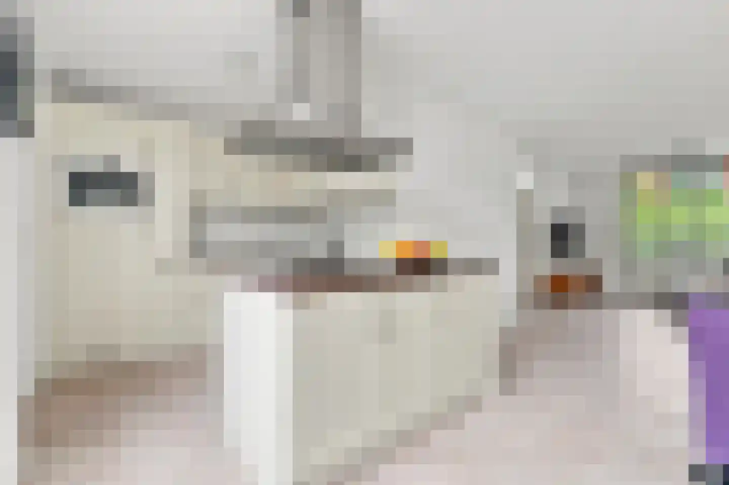 Han Diekmannlaan 43 Vlissingen thumbnail 7