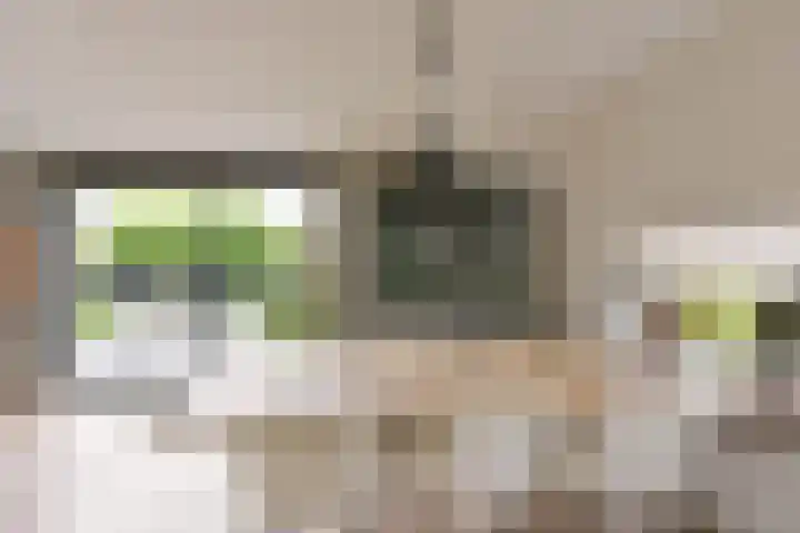 Han Hoekstrahof 180 Hoorn thumbnail 13