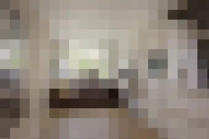 Han Hoekstrahof 180 Hoorn thumbnail 16