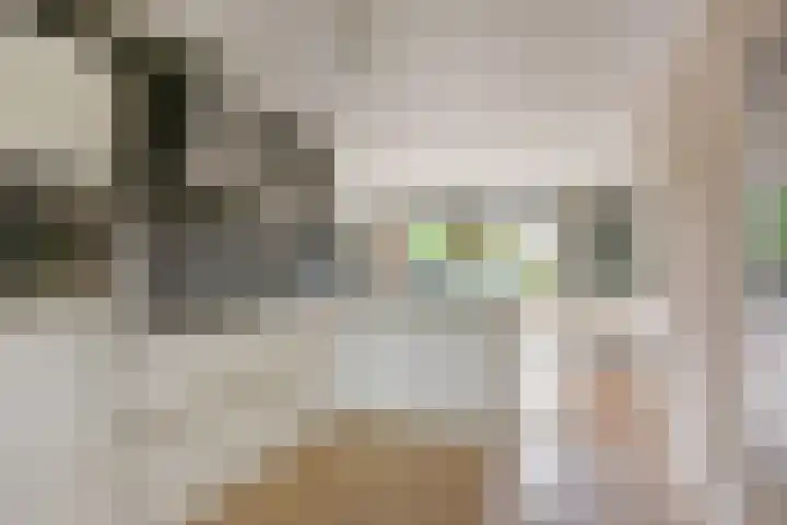 Han Hoekstrahof 180 Hoorn thumbnail 17