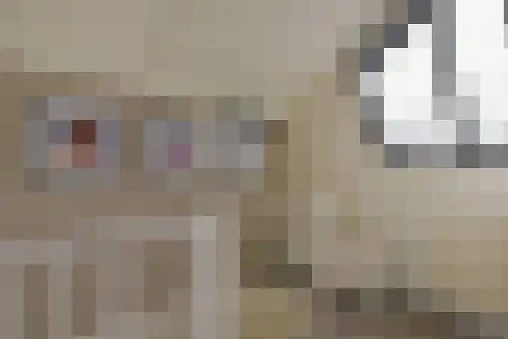 Han Hoekstrahof 180 Hoorn thumbnail 26