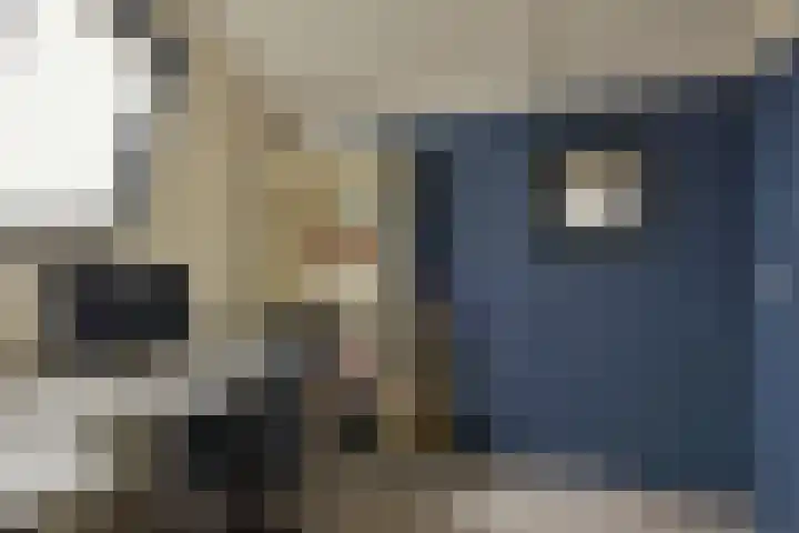 Han Hoekstrahof 180 Hoorn thumbnail 29