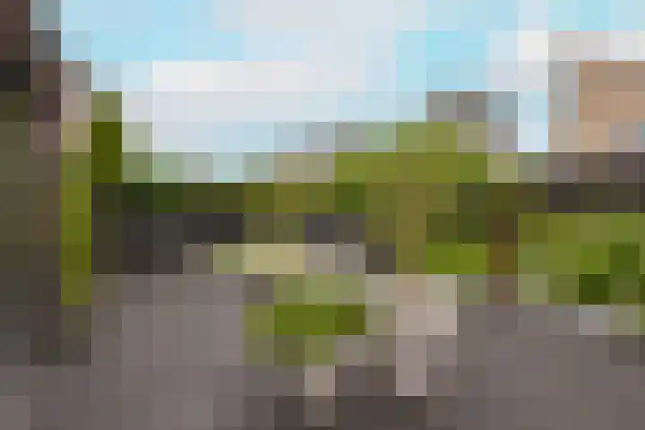 Han Hoekstrahof 180 Hoorn thumbnail 32