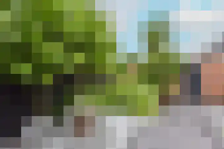 Han Hoekstrahof 180 Hoorn thumbnail 35
