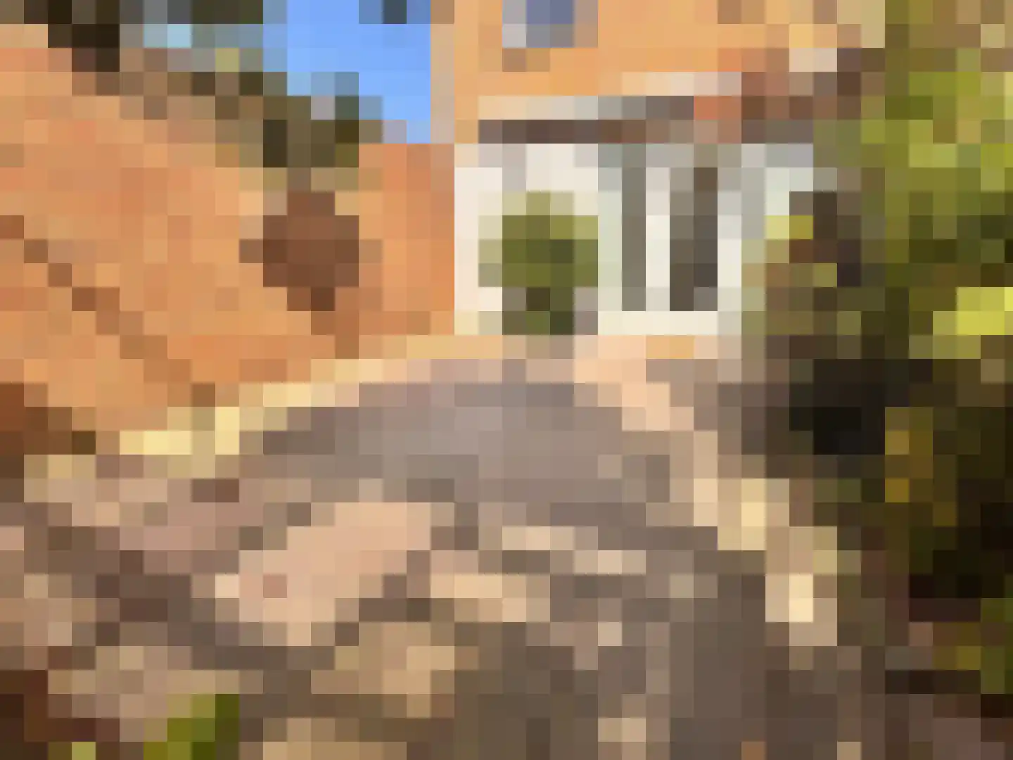 Han Hoekstrahof 23 Hoorn thumbnail 29