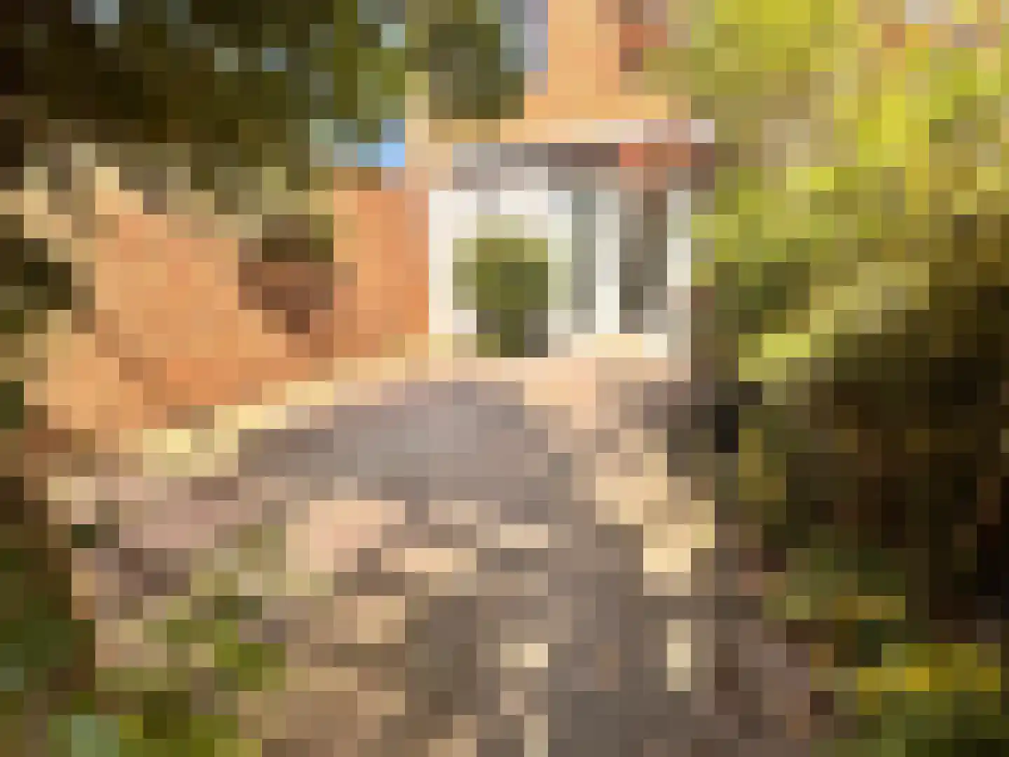 Han Hoekstrahof 23 Hoorn thumbnail 30