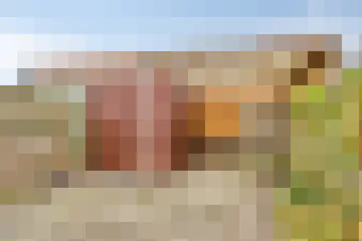 Han Hoekstrahof 29 Hoorn thumbnail 18