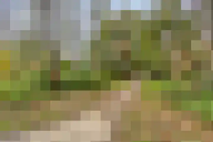 Han Hoekstrahof 29 Hoorn thumbnail 21