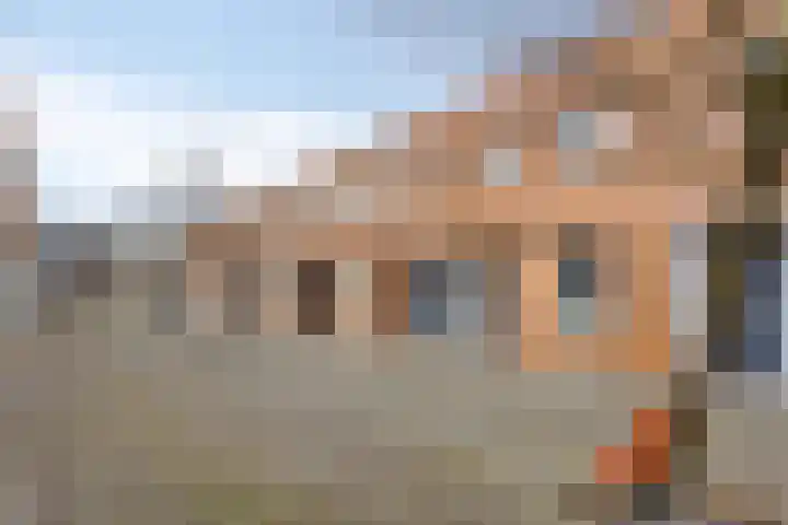 Han Hoekstrahof 29 Hoorn thumbnail 5
