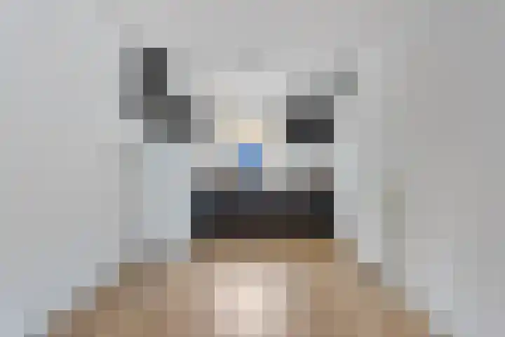 Han Hoekstrahof 29 Hoorn thumbnail 7