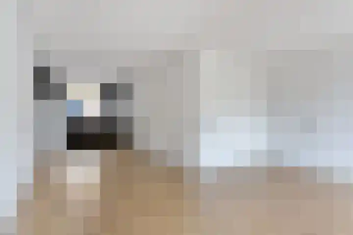 Han Hoekstrahof 29 Hoorn thumbnail 8