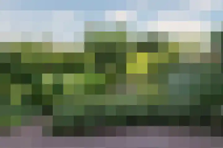 Han Hoekstrahof 81 Hoorn thumbnail 43