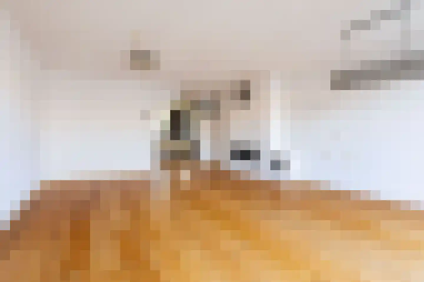 Han Hoekstrahof 88 Hoorn thumbnail 11