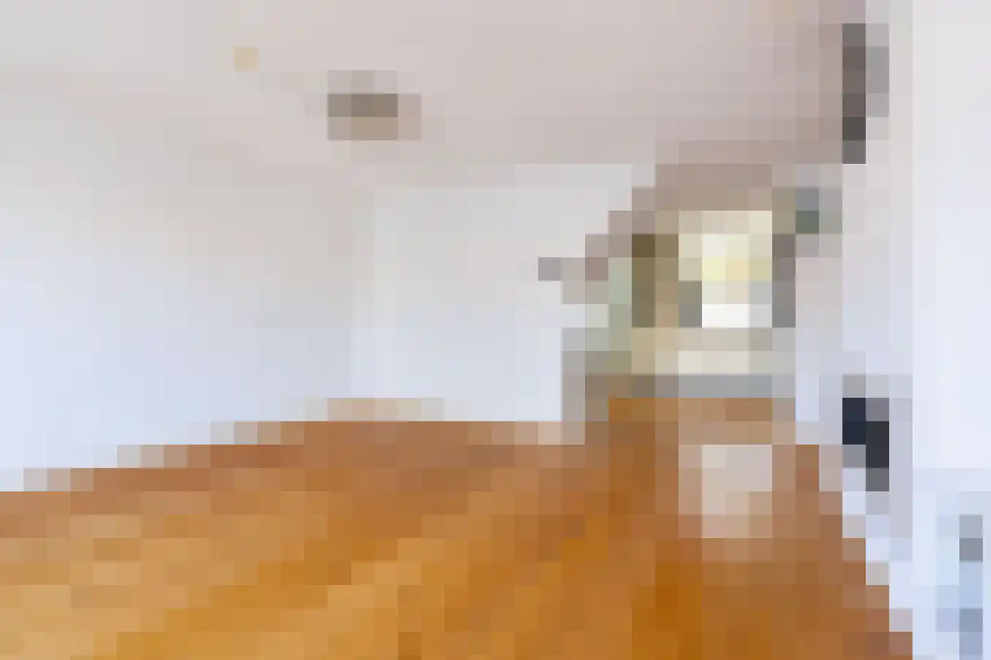 Han Hoekstrahof 88 Hoorn thumbnail 12