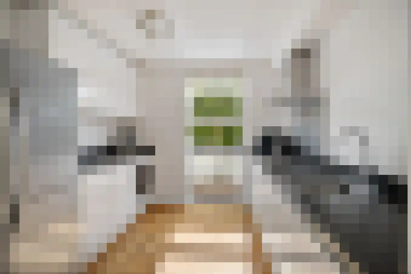 Han Hoekstrahof 89 Hoorn thumbnail 17