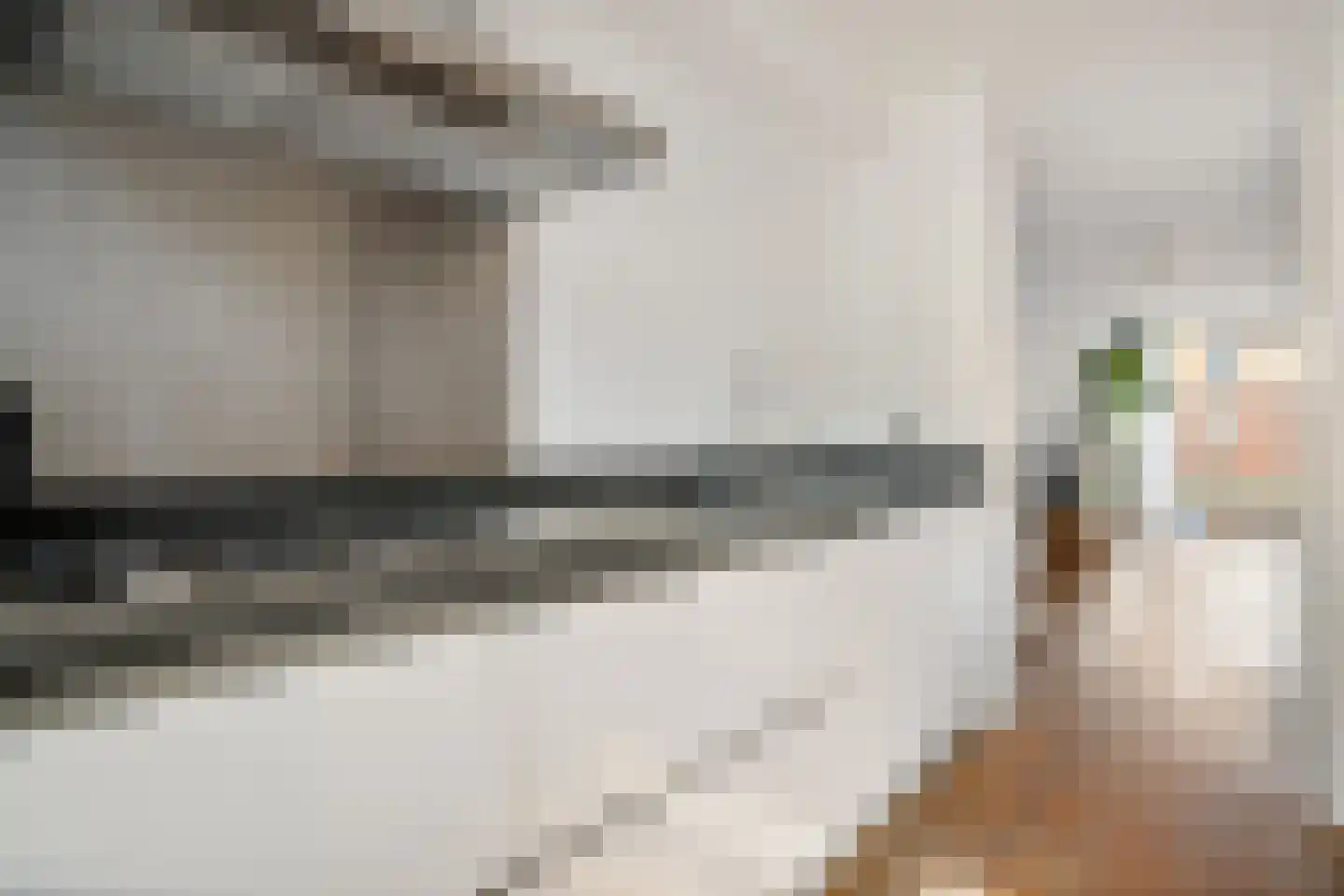 Han Hoekstrahof 89 Hoorn thumbnail 20