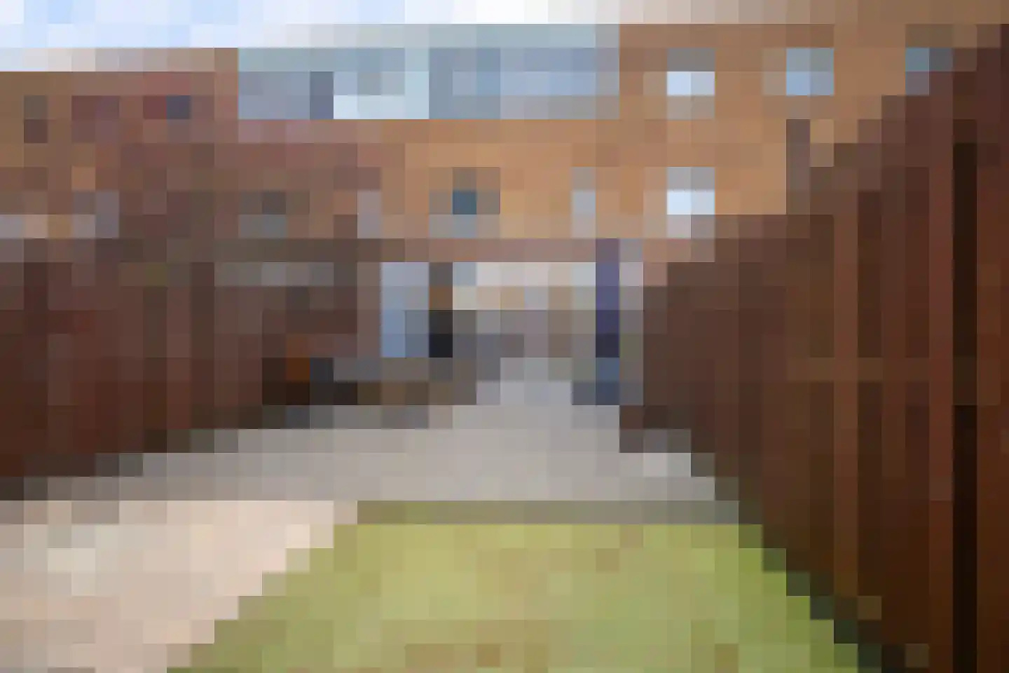 Han Hoekstrahof 89 Hoorn thumbnail 39