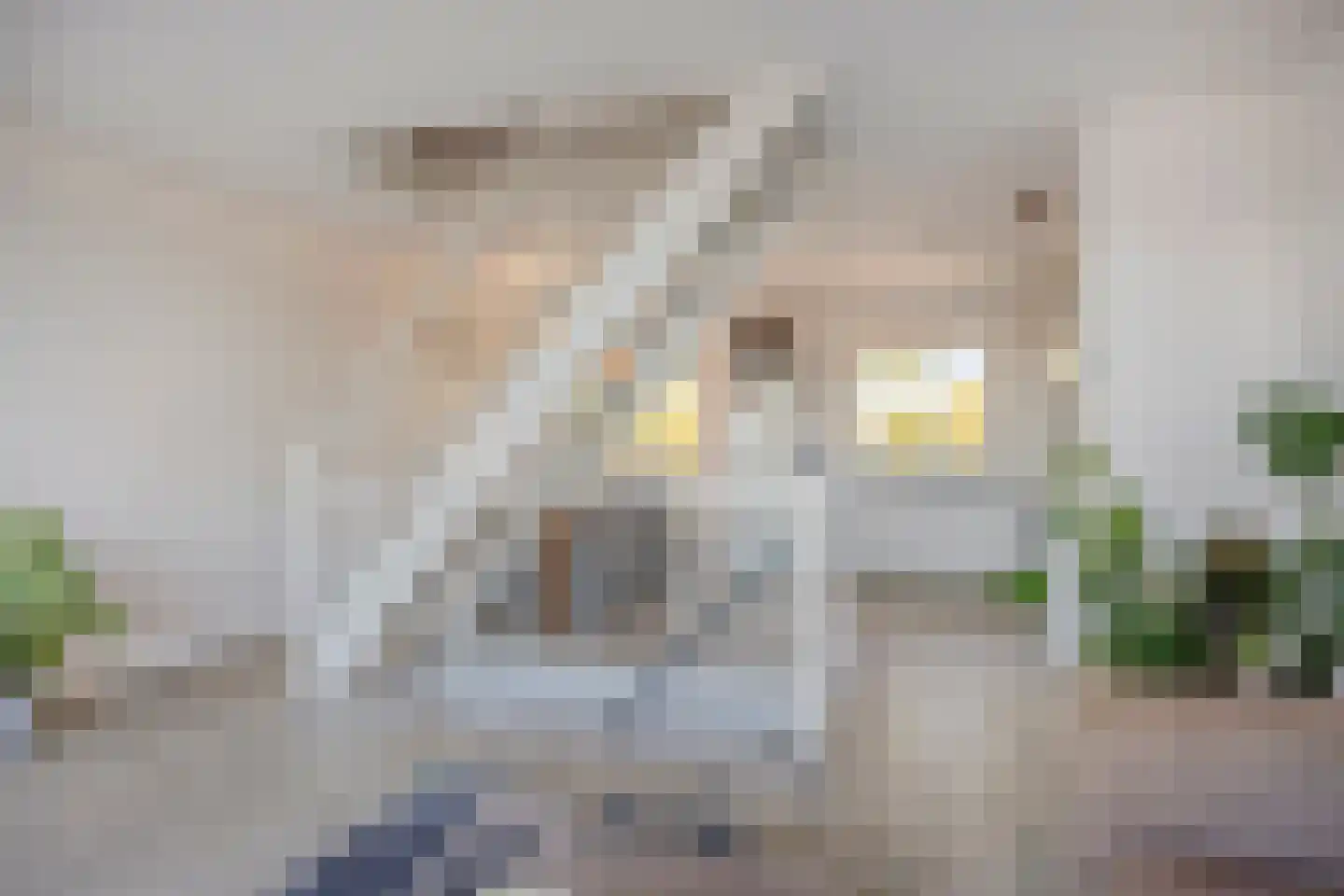 Han Hoekstrahof 9 Hoorn thumbnail 16
