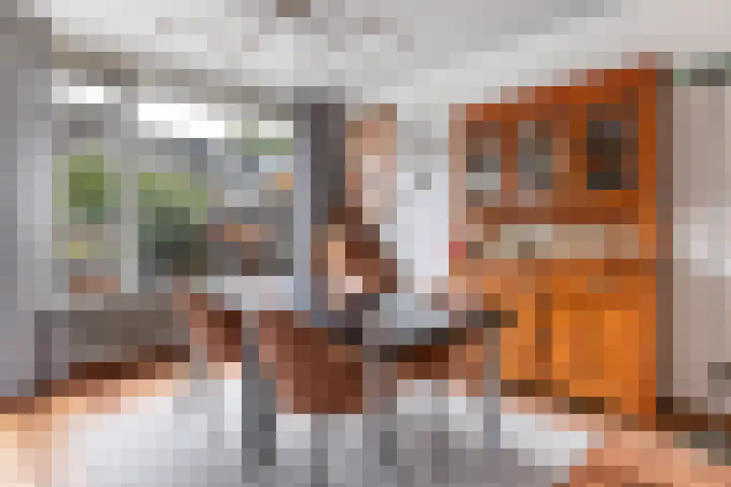 Han Hollanderweg 23 Gouda thumbnail 17