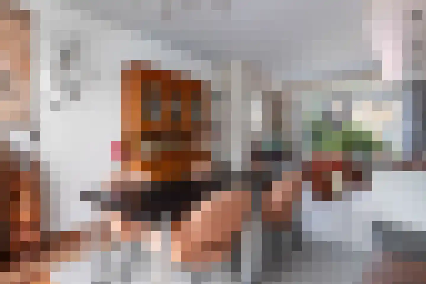 Han Hollanderweg 23 Gouda thumbnail 18