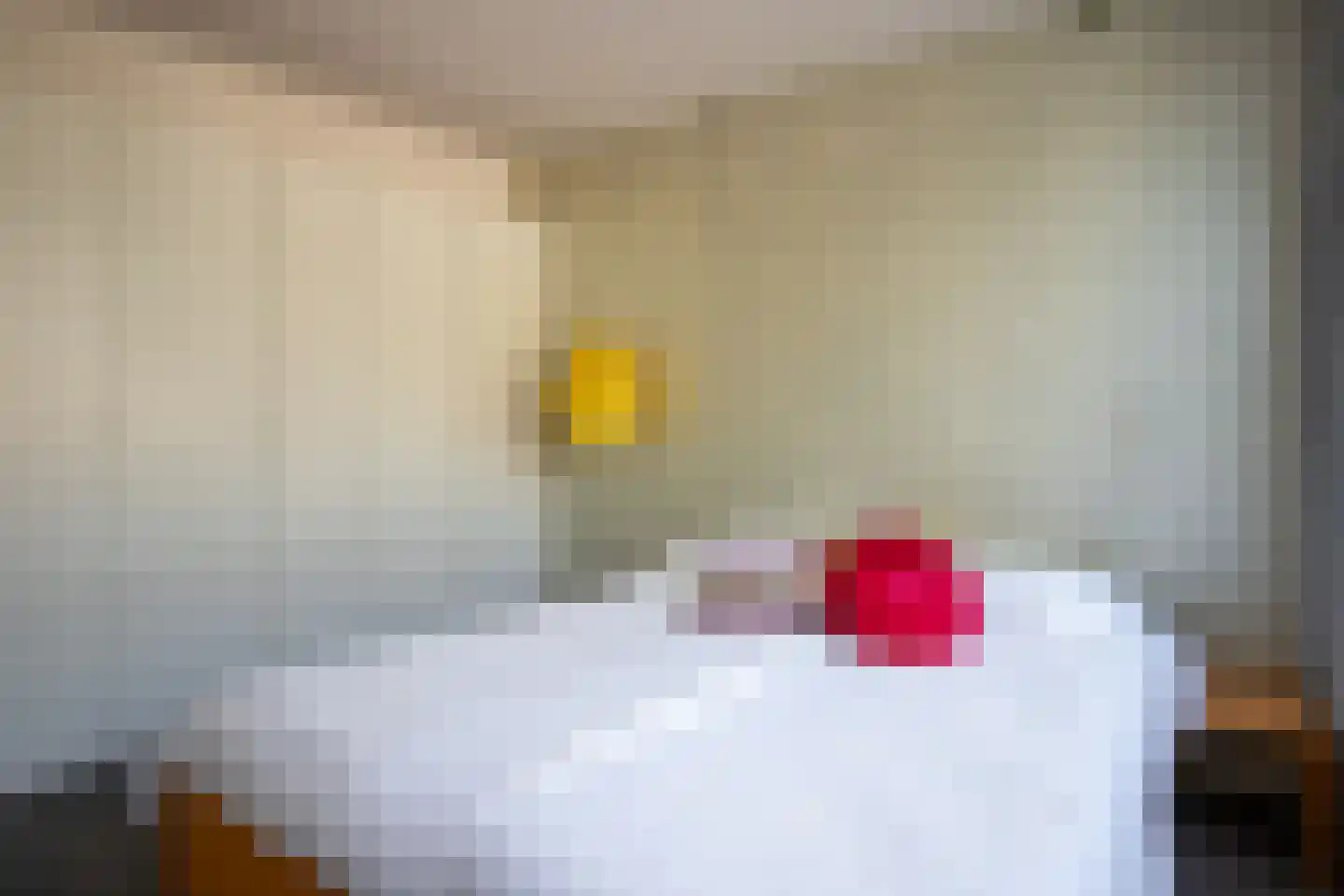 Han Hollanderweg 23 Gouda thumbnail 32