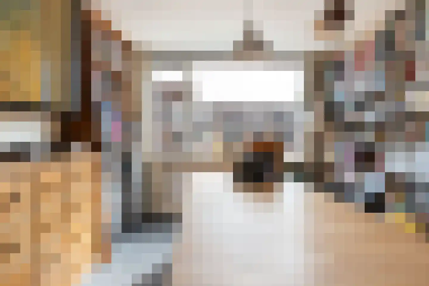 Han Hollanderweg 23 Gouda thumbnail 34