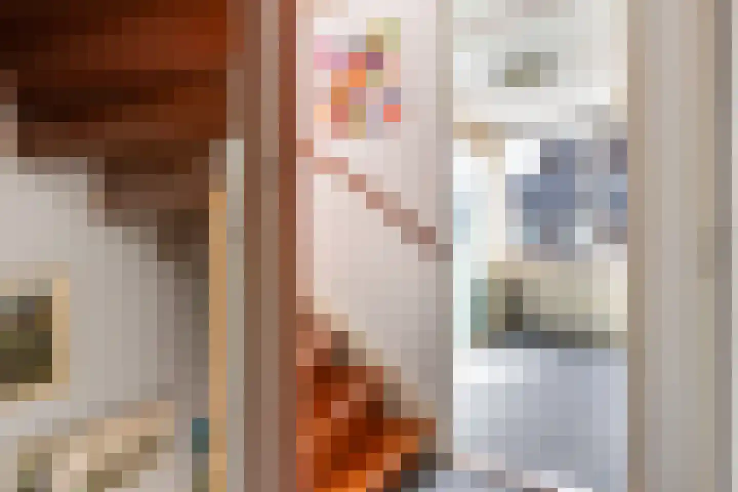 Han Hollanderweg 23 Gouda thumbnail 36
